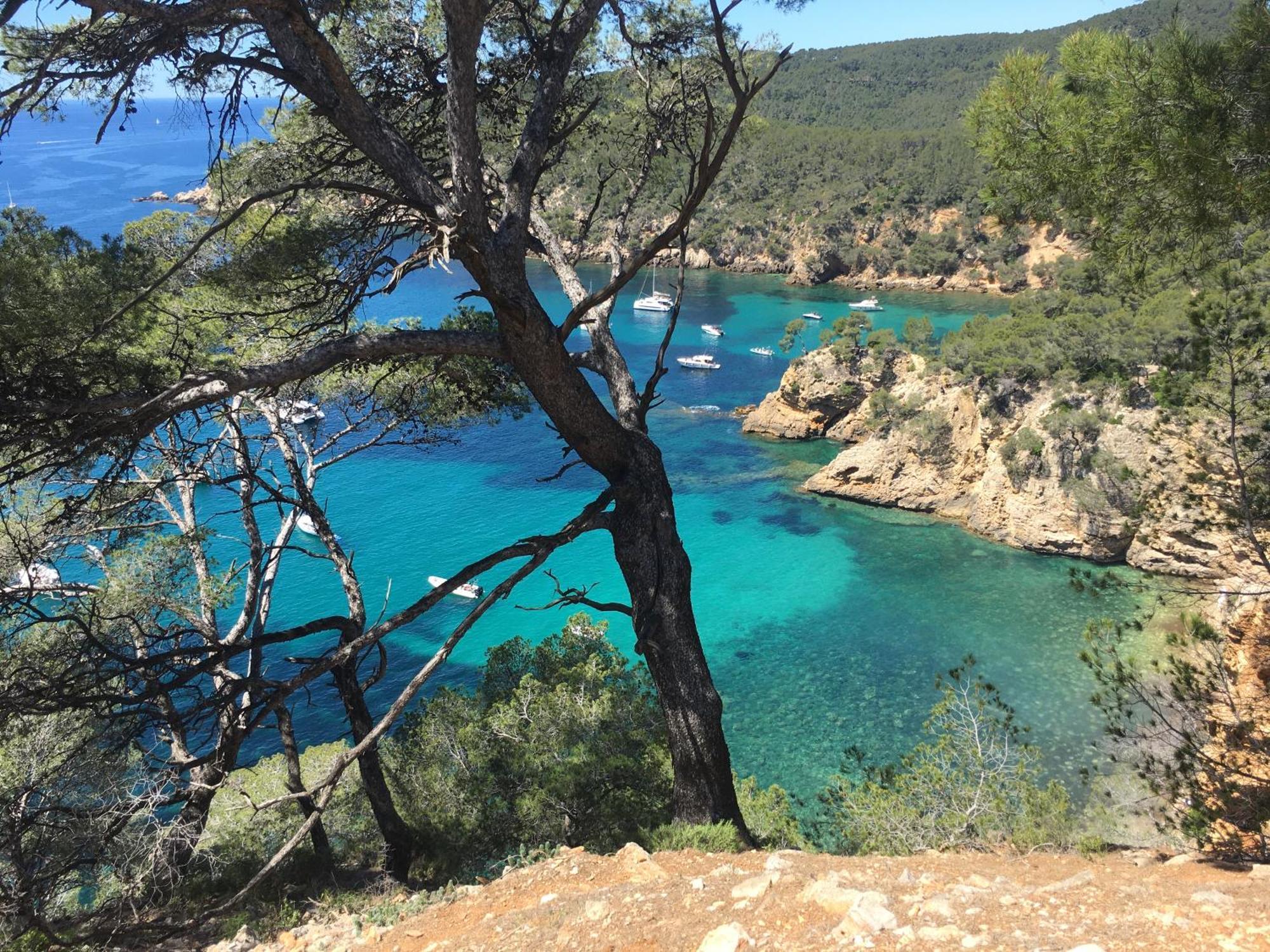 Appartement T3 Terrasse Vue Mer Bandol Kültér fotó